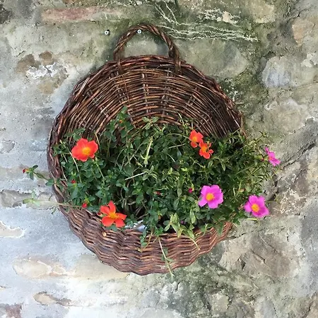 Bed and breakfast Casa Di Nonna Gege Pistoya