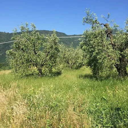 Casa Di Nonna Gege