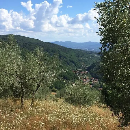 Bed and breakfast Casa Di Nonna Gege *