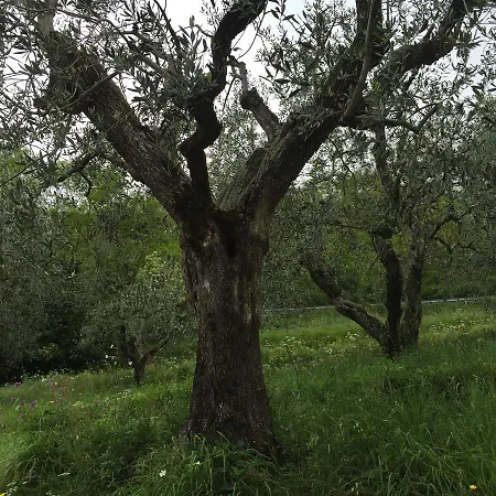 Casa Di Nonna Gege Bed and breakfast Pistoya